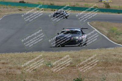 media/May-04-2024-Lucky Dog Racing (Sat) [[d39539b3f3]]/Race Pics/1015am (Turn 2)/